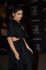 Bhumi Pednekar at the red carpet of Stardust awards on 21st Dec 2015